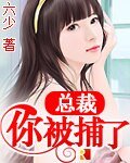 总裁,你被捕了!